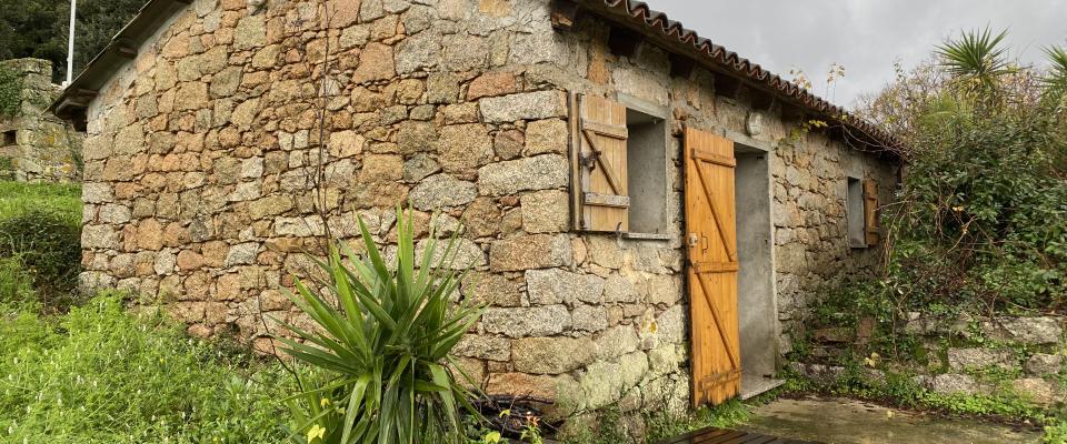 Logement individuel T2